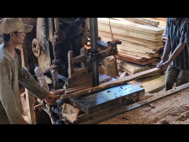 UNBELIEVABLE POWER! How Modern Sawmills Slice Hardwood Instantly