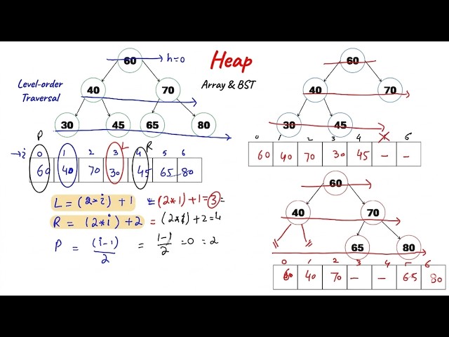 Heap Data Structure Explained | Max Heap, Min Heap & Insertion (2026)