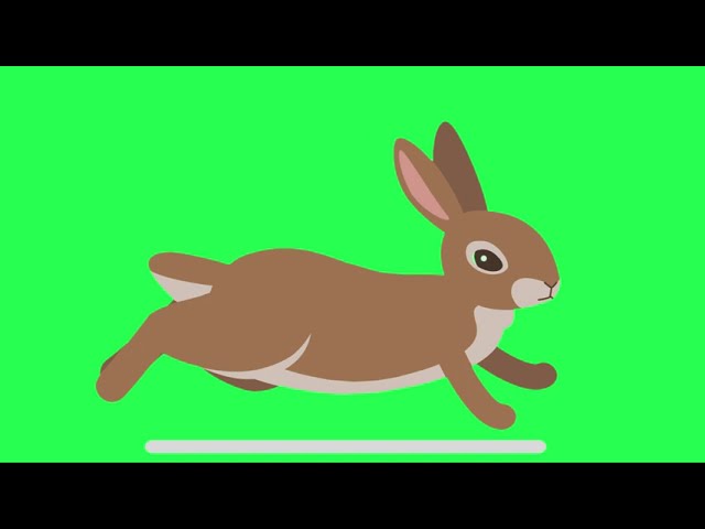 Rabbit Animation Green Screen | Chroma Key | Sky Fx