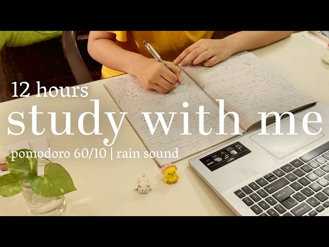 LIVE | 12 Hours study with me on a sunny day | Rain sound, pomodoro 60/10