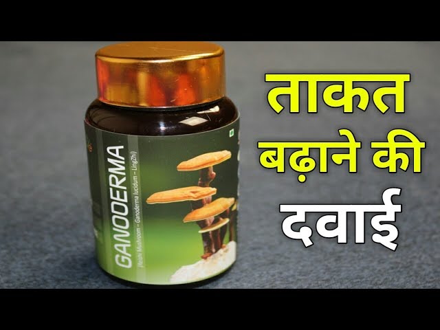 Ganoderma Capsule | ताकत बढ़ाने का सबसे आसान तरीका | Uses &  Side Effects Full Review