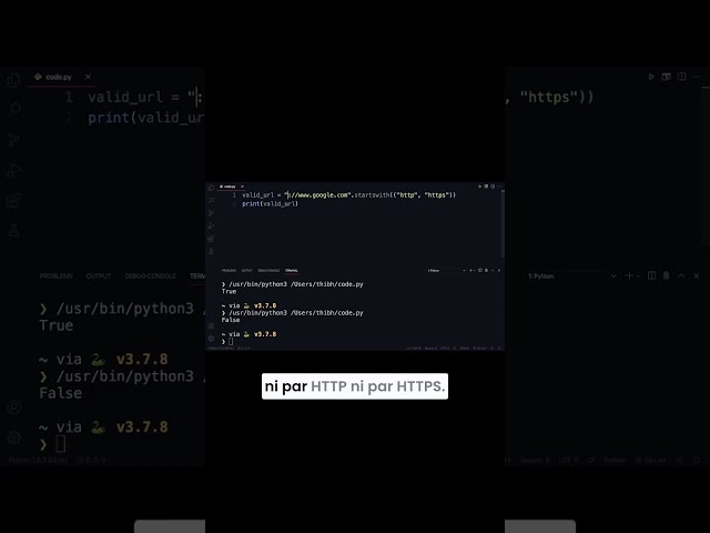 The startswith method