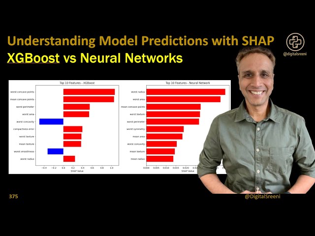 Understanding Model Predictions with SHAP - XGBoost vs Neural Networks (375)