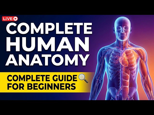 🔴Vital Codes Live: Complete Human Anatomy Explained Like Never Before!