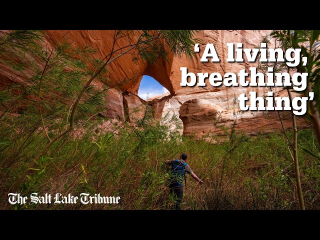 See what’s emerging in Glen Canyon as Lake Powell recedes