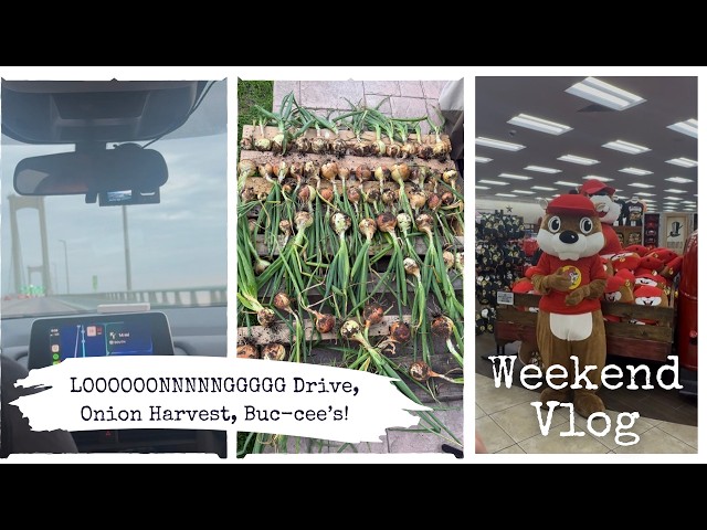 Weekend Vlog!  LOOOOONNNNNGGGGG Car Ride | Onion Harvest | First Time at Buc-cee's !