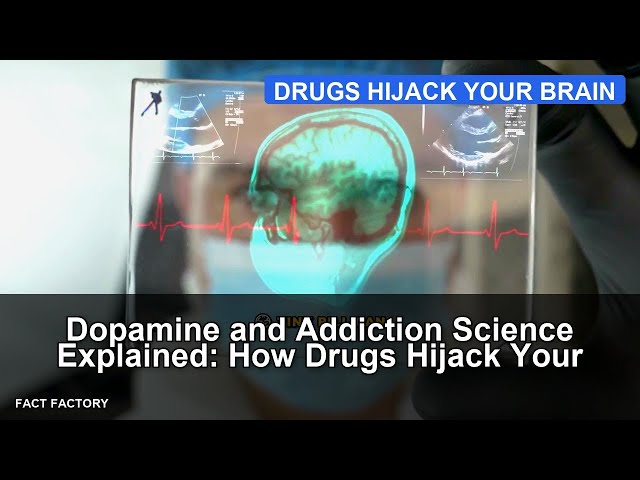 Dopamine and Addiction Science Explained: How Drugs Hijack Your Brain