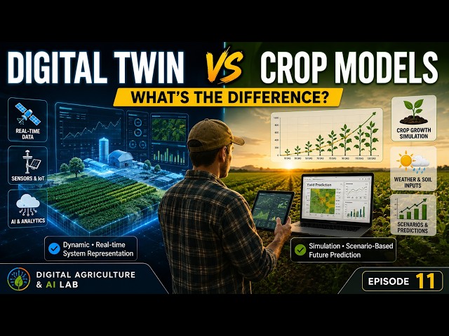 Digital Twin vs GIS vs Crop Models: What’s the Difference? | 11