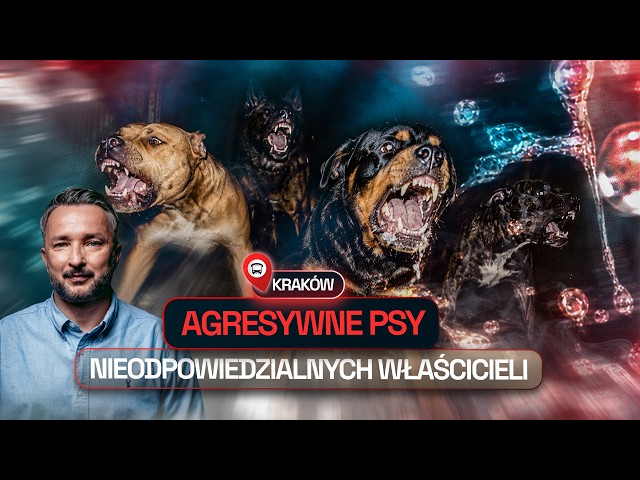 DANGEROUS DOG ATTACKS, TERRIFIED RESIDENTS | ZERO INTERVENTION