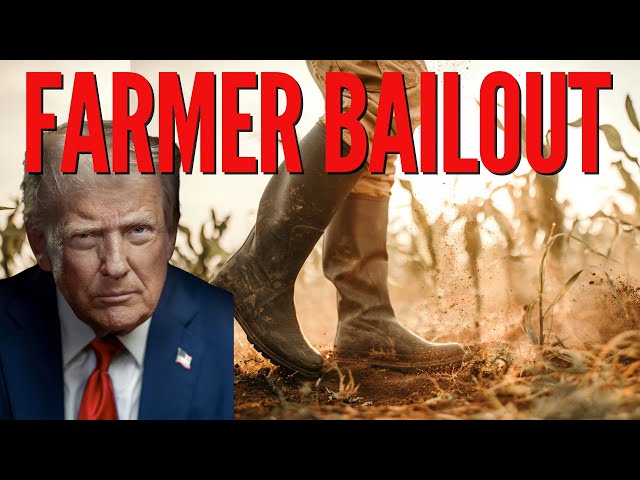 What happens to your grocery prices after a $12 billion bailout?