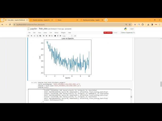 Camouflaged Image Detection in Python Projects