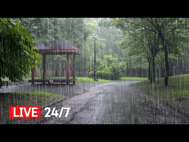 Relax and Sleep with Heavy Rain Sounds - Instantly Fall Asleep with Natural Sound, Focus, Study