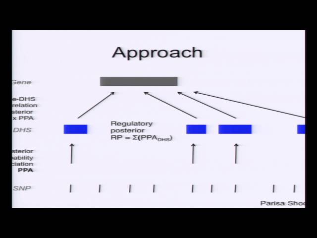 Identifying Dysregulated Genes in Autoimmune Disease - Chris Cotsapas