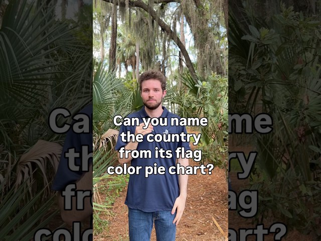 Given a flag color pie chart, can I name the country? #shorts