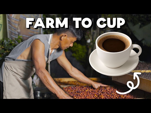 The Best Coffee in the Philippines