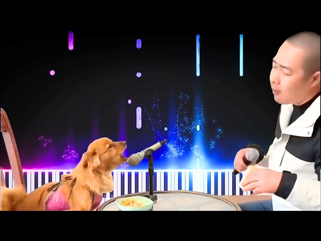 Chinese Man and Dog Singing MEME - PIANO