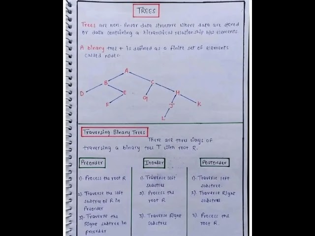 WHAT IS TREE 🌴 IN DATA STRUCTURE