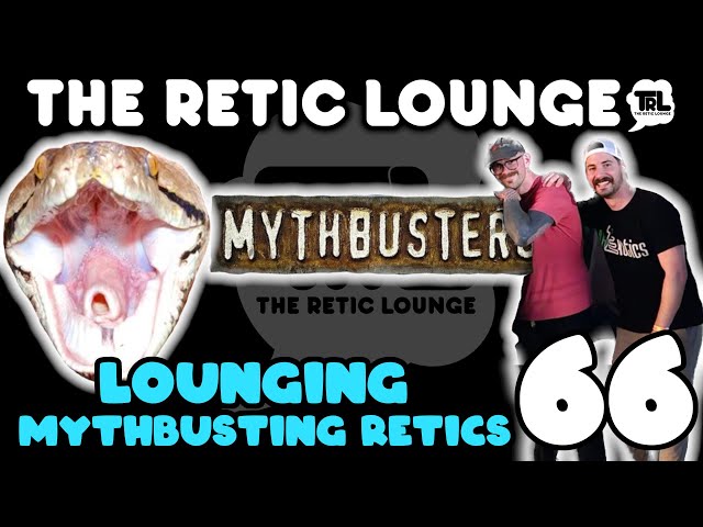 MYTHBUSTING RETICULATED PYTHONS | The Retic Lounge #66