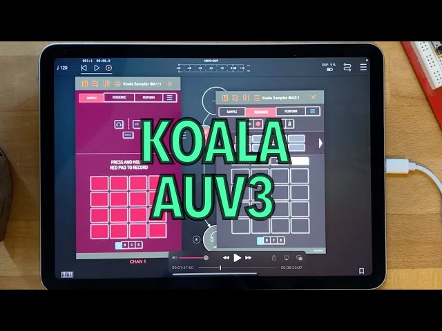 Koala as an AUV3 Plugin