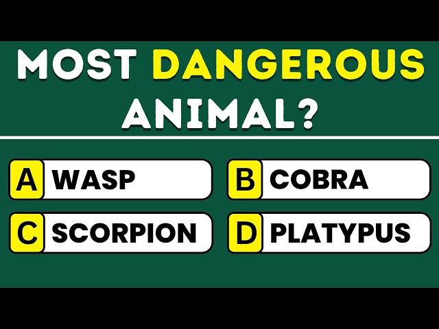Can You Pass This Animal Quiz? 🐾 Take This 50-Question Wildlife Challenge! 🧠