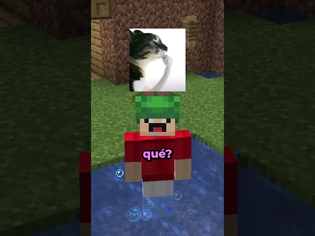 how to make a realistic rug in mc #minecraft