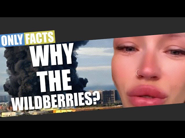 Why does Ukraine target the russian "Wildberries"? Explained in 5 minutes