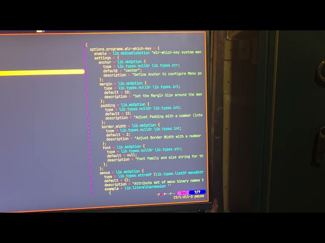 Custom Nixos Modules