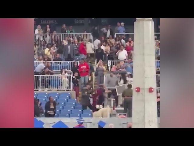 3 arrested after fight during Gateway Community College graduation