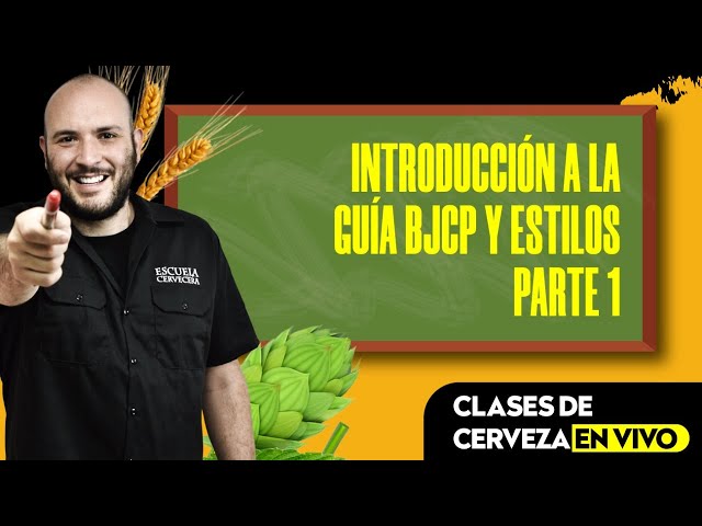 Introducción a la guía BJCP y estilos: Parte 1