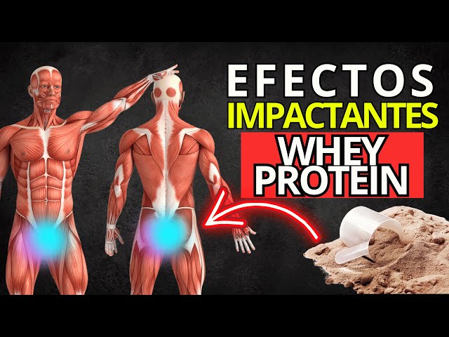 10 Changes That Occur in Your Body When You Take Whey Protein Every Day