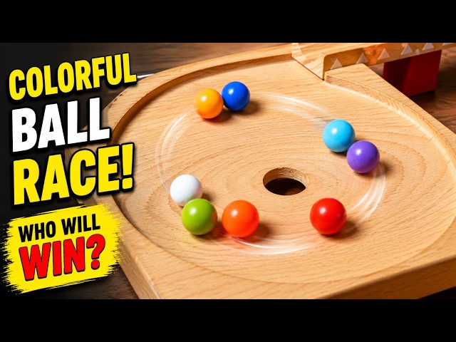 Marble Run ASMR ☆ HABA Wooden Course & Cup Comfortable Sound