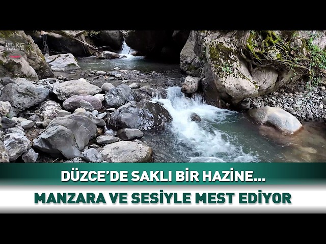 A Hidden Treasure in Düzce! Its Scenery and Sound Are Mesmerizing