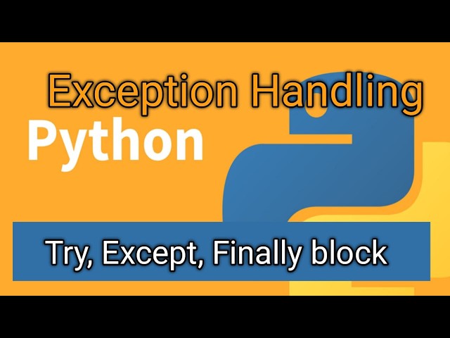 Exception Handling Class 12 CBSE  Python