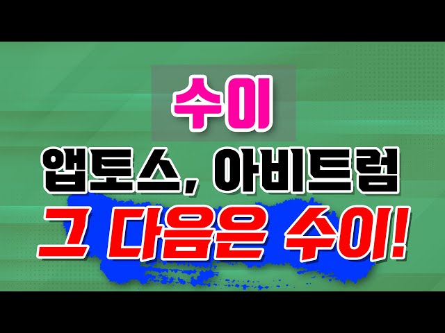 [수이] "ㅇㅇㅇ"이 좋아하는 아이디어와 동일한 프로젝트, 내용과 전망은?
