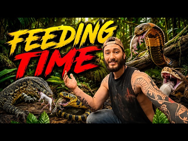 FEEDING TIME AND ANOTHER SURPRISE