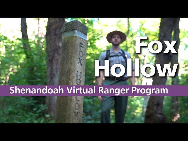 Virtual Ranger Program: Fox Hollow