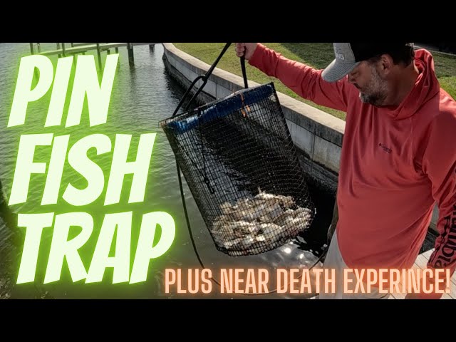 Pinfish Trap Revealed: My Shocking Story