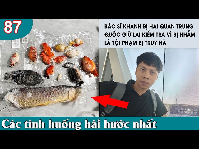 Top Comment - Những Thằng Ngu Nhất Hành Tinh Cười Vỡ Bụng 2026