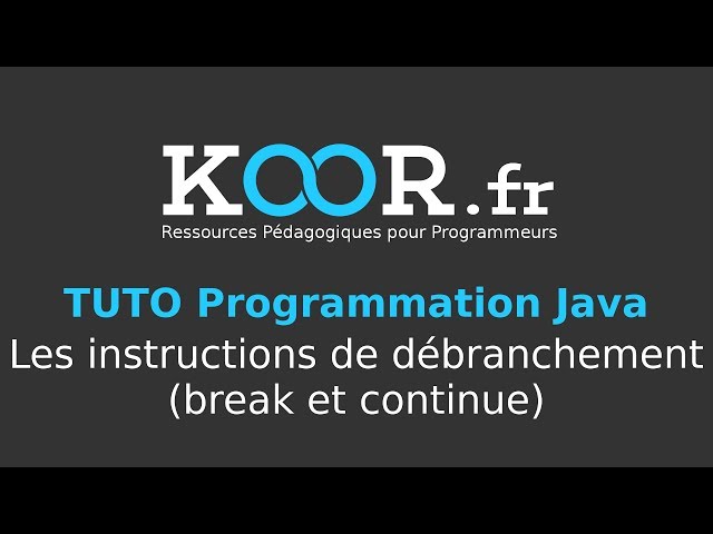 Java Tutorial - Branching instructions (break and continue)