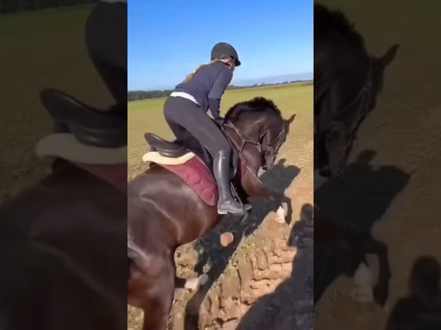 Hella du hast dich so gut gehandelt Woww😱❤️@HellaGabbert #horse #bestpony  #horsefan #showpony 🥹