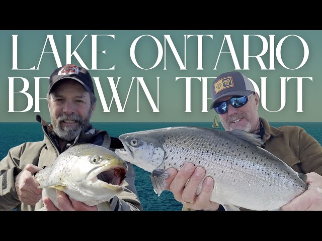 Lake Ontario Fishing Adventure: Trophy Brown Trout with Rick Labbe & "Bad" Lee Libby