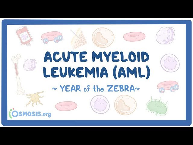 Acute myeloid leukemia (AML) (Year of the Zebra 2026)