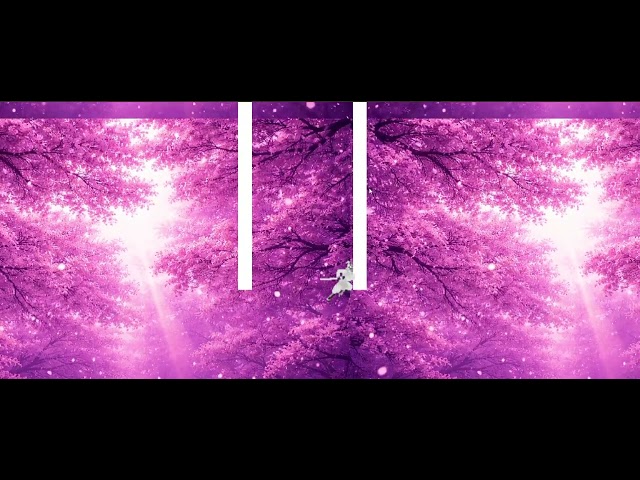 Unity 2D Ninja Gameplay