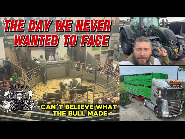 The day we never wanted to face