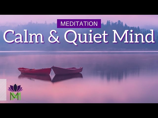 20 Minute Guided Meditation for Anxiety: Quiet the Busy Mind | Mindful Movement