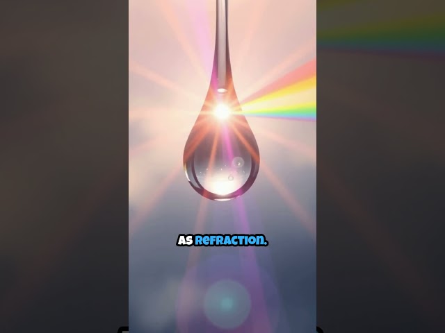 The Science Behind Rainbows 🌈 | Daily Knowledge Dose #Shorts
