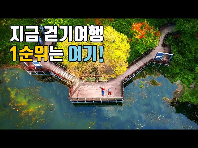 The most beautiful walking trail certified👍 Trekking enthusiasts will be amazed as soon as they w...