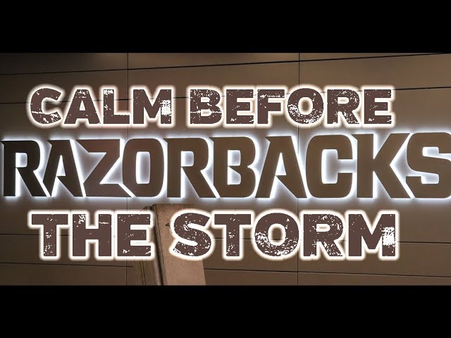 Razorbacks Calm Before Storm
