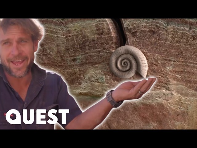 Opal Miners Find Rare Shells Worth $135K | Outback Opal Hunters