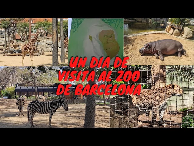 ZOO BARCELONA , un dia de visita con los animales.
